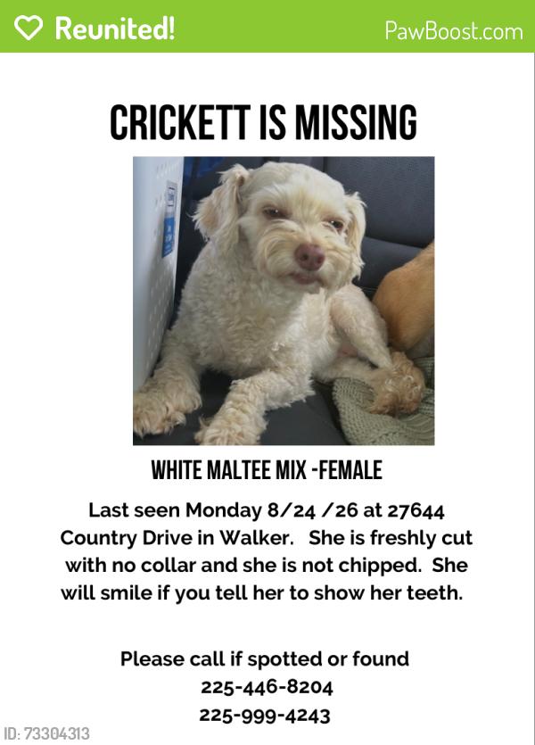 Reunited Female Dog last seen Near country drive walker., Walker, LA 70785