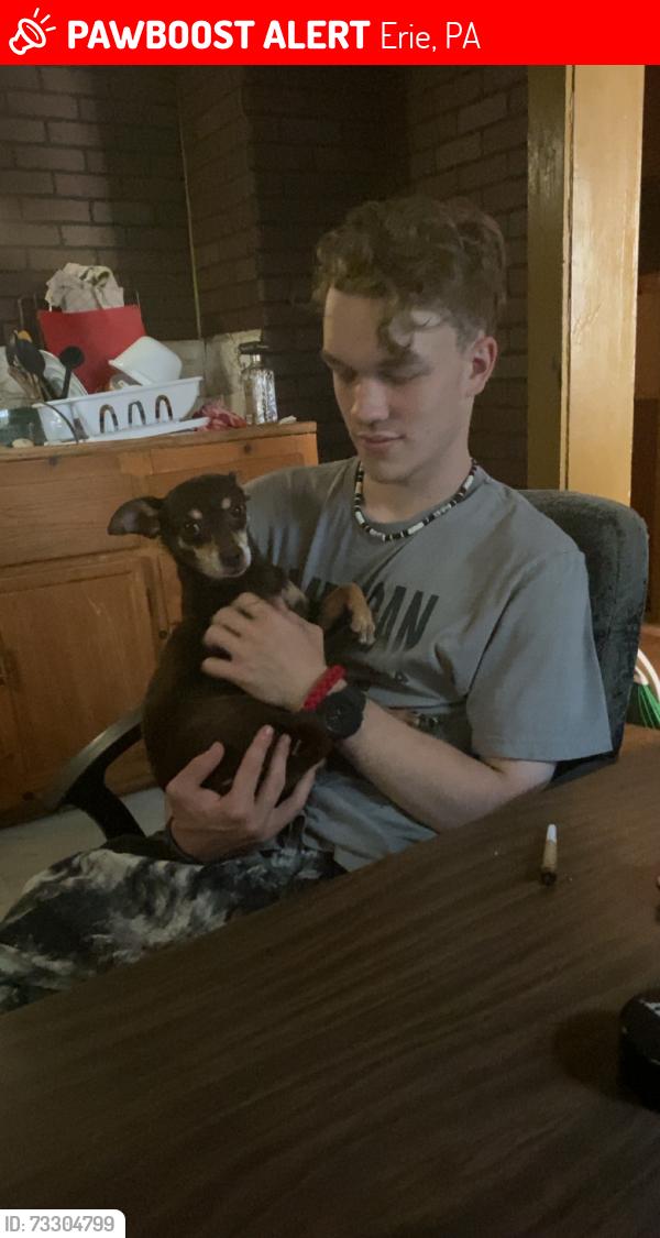 Lost Female Dog last seen Bayfront connecter and east ave, Erie, PA 16503