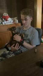 Lost Female Dog last seen Bayfront connecter and east ave, Erie, PA 16503