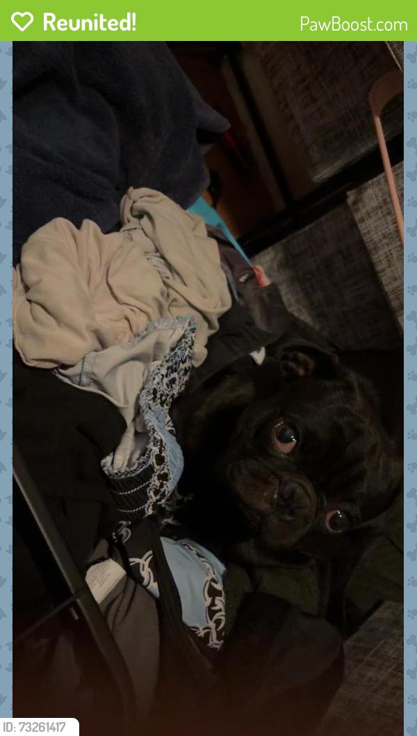 Reunited Male Dog last seen Near Wendy’s, San Antonio, TX 78227