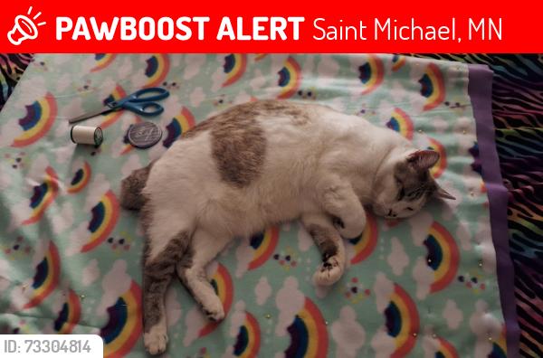 Lost Male Cat last seen Walnut Park, Saint Michael, MN 55376