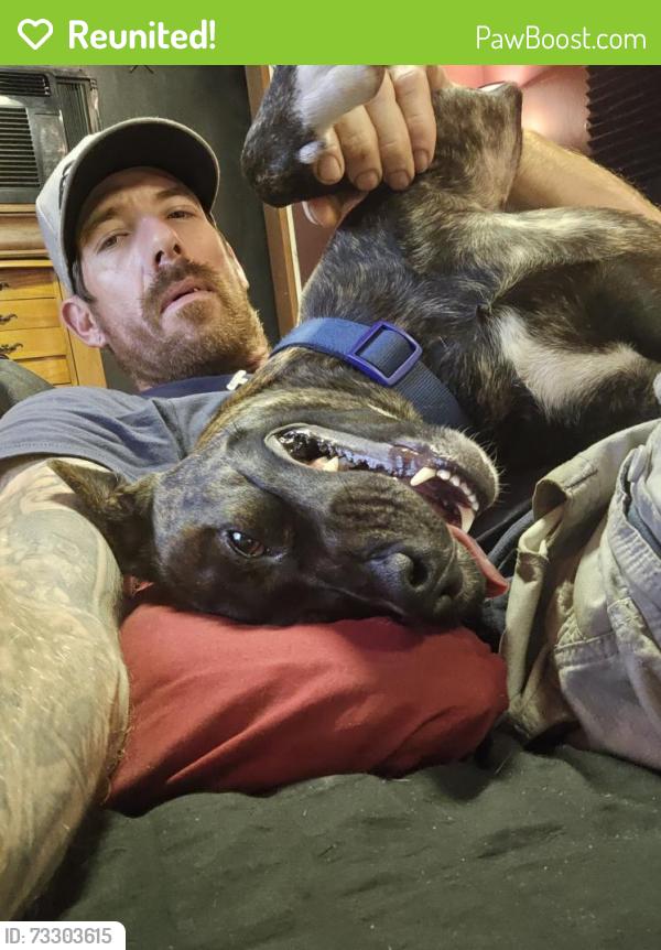 Reunited Male Dog last seen Philotowzki Eye Institute, Beville Road, S.Daytona, Daytona Beach, FL 32119