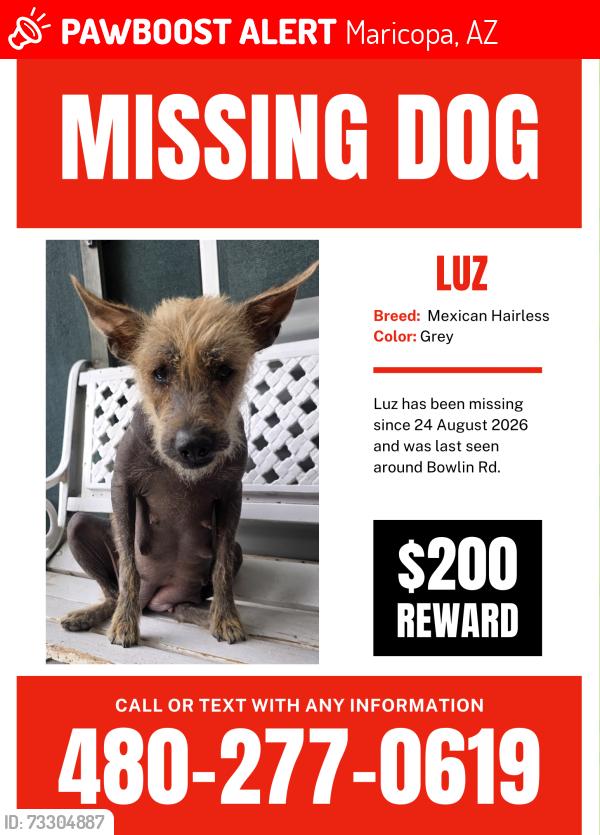 Lost Female Dog last seen Near N Meadow Lane Rd Maricopa, AZ 85139, Maricopa, AZ 85139