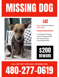 Lost Female Dog last seen Near N Meadow Lane Rd Maricopa, AZ 85139, Maricopa, AZ 85139