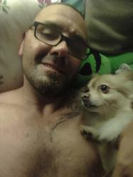 Lost Male Dog last seen Cartage Dr. Auburn blv., Citrus Heights, CA 95621