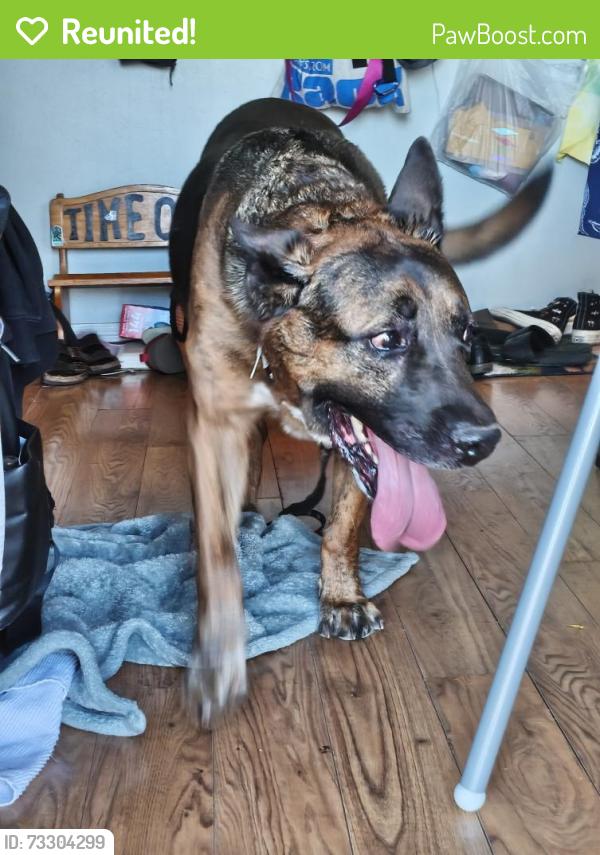 Reunited Male Dog last seen Torrey Pines/ Elton, Las Vegas, NV 89146