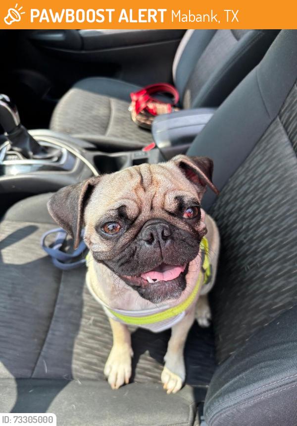 Found/Stray Female Dog last seen Tyler Way, Mabank, TX 75147