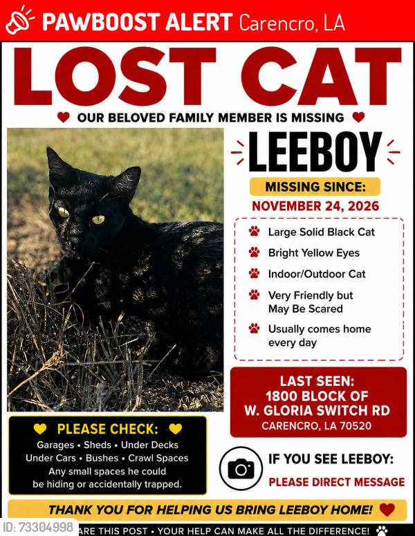 Lost Male Cat last seen W Gloria Switch and Malapart, Carencro, LA 70520
