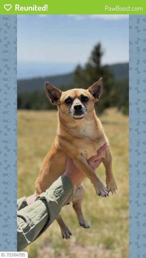 Reunited Female Dog last seen NW 21st and Drexel, Oklahoma City, OK 73107