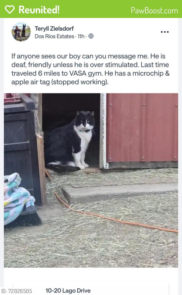 Reunited Male Cat last seen Dos rios neighborhood, Greeley, CO 80634