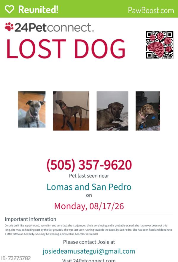 Reunited Female Dog last seen By the fair grounds off San Pedro and Lomas, Albuquerque, NM 87110