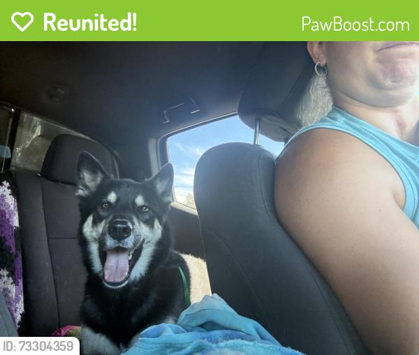 Reunited Male Other last seen Pierson st, Santa Rosa, CA 95401