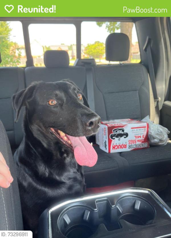 Reunited Female Dog last seen Dexter Ln and Dexter Rd, Memphis, TN 38016