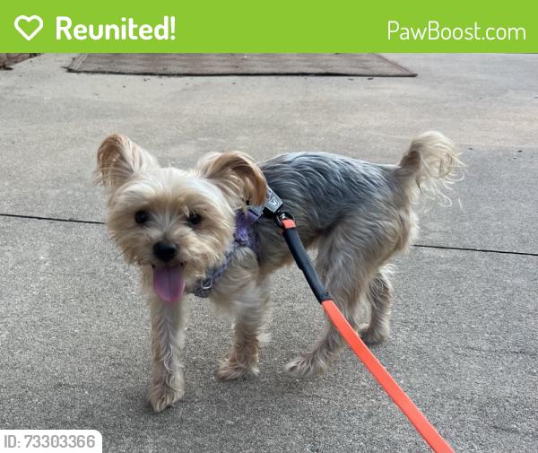 Reunited Female Dog last seen Greensboro Day School, Greensboro, NC 27455