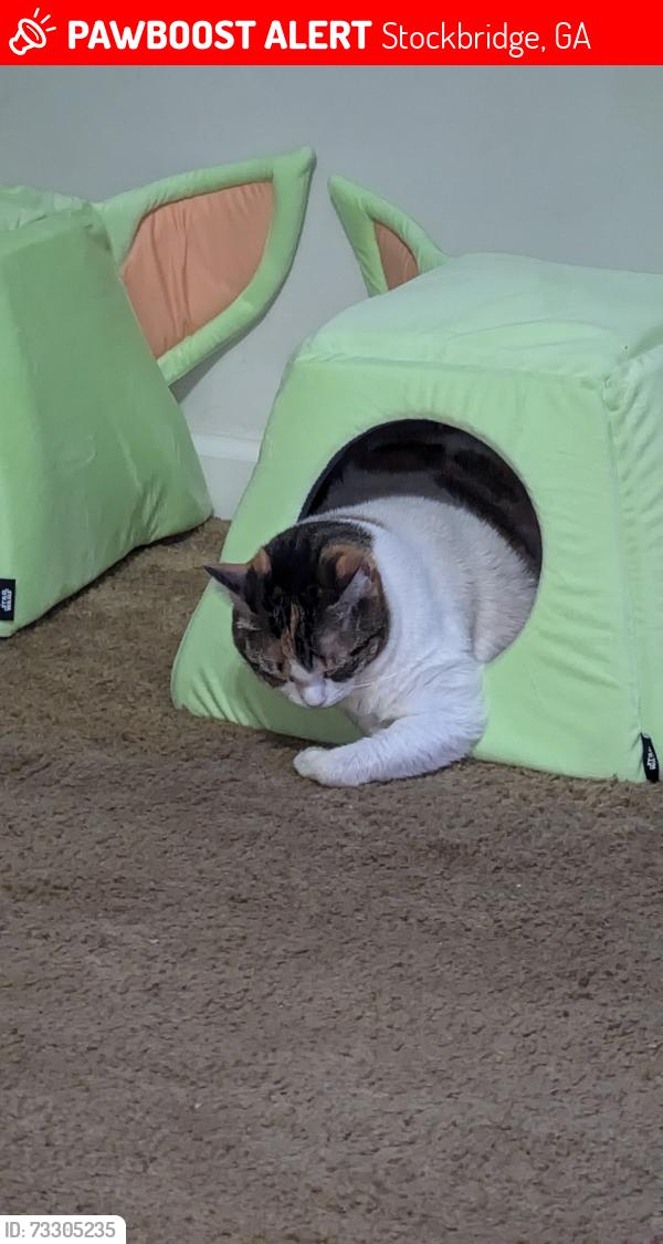 Lost Female Cat last seen Hearn rd, Stockbridge, GA 30281