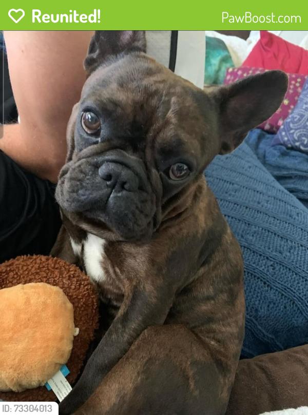 Reunited Male Dog last seen San Joaquin Trail & Thames, Fort Worth, TX 76118