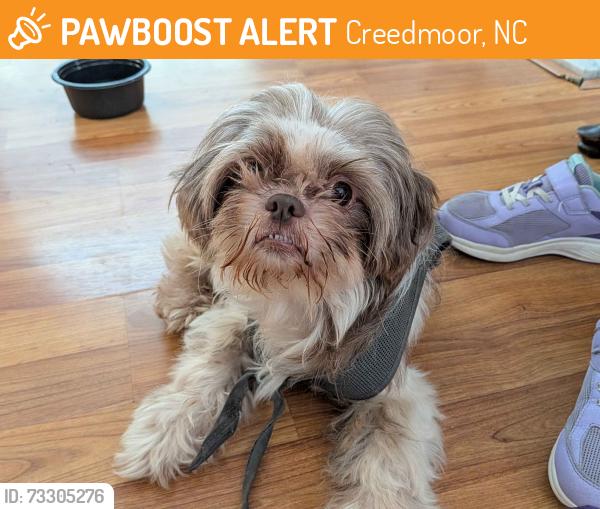 Found/Stray Male Dog last seen Creedmoor NC, Creedmoor, NC 27522