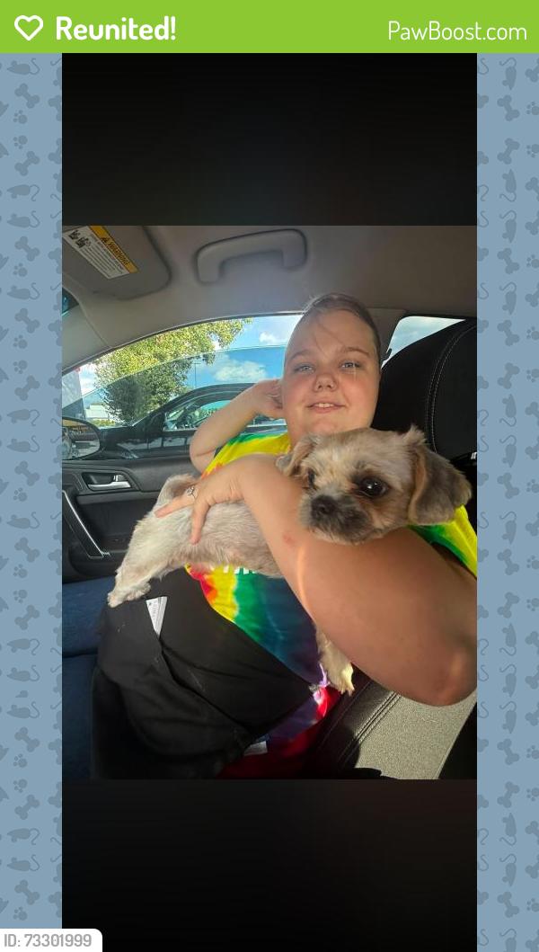 Reunited Female Dog last seen Maplewood Rd, Columbus, OH 43207, USA, Columbus, OH 43207