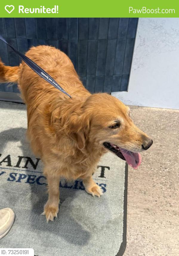 Reunited Unknown Dog last seen City hall bluffdale, Bluffdale, UT 84065