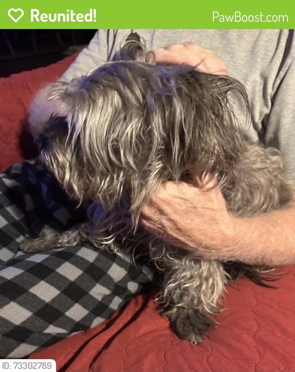 Reunited Male Dog last seen Ducharme Ave near Roland Wiley 89145, Las Vegas, NV 89145
