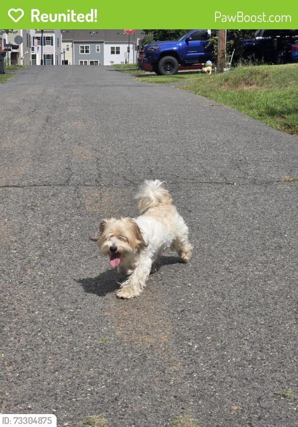 Reunited Unknown Dog last seen School St Manassas, Manassas, VA 20110
