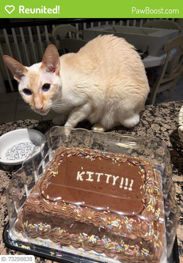 Reunited Male Cat last seen Near Mayflower Drive, Mississauga, ON L5R 1S5