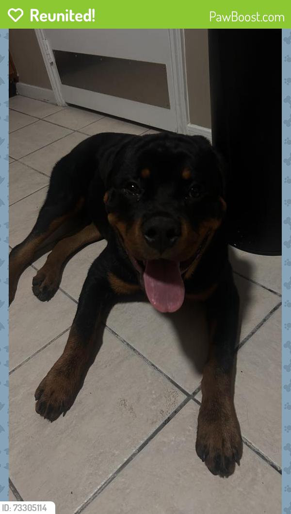 Reunited Male Dog last seen Baker Cypress, Autumn Flowers Dr, Katy, TX 77449