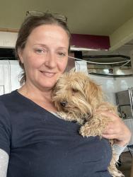 Reunited Male Dog last seen JCs NY Pizza Dept, Albuquerque, NM 87102