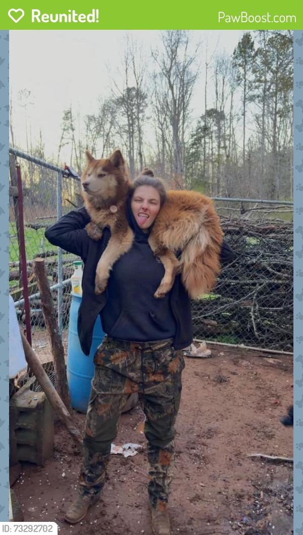Reunited Female Dog last seen Owens rd, Piedmont sc, Piedmont, SC 29673