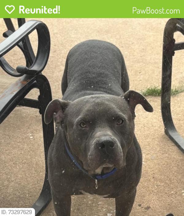 Reunited Male Dog last seen Sunnylane, Oklahoma City, OK 73135
