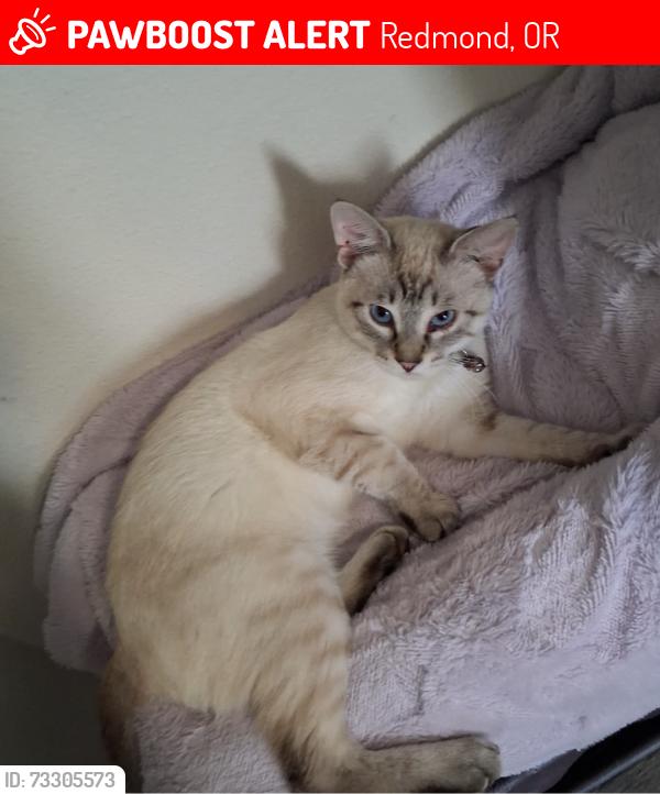 Lost Male Cat last seen Cerca de casa, Redmond, OR 97756