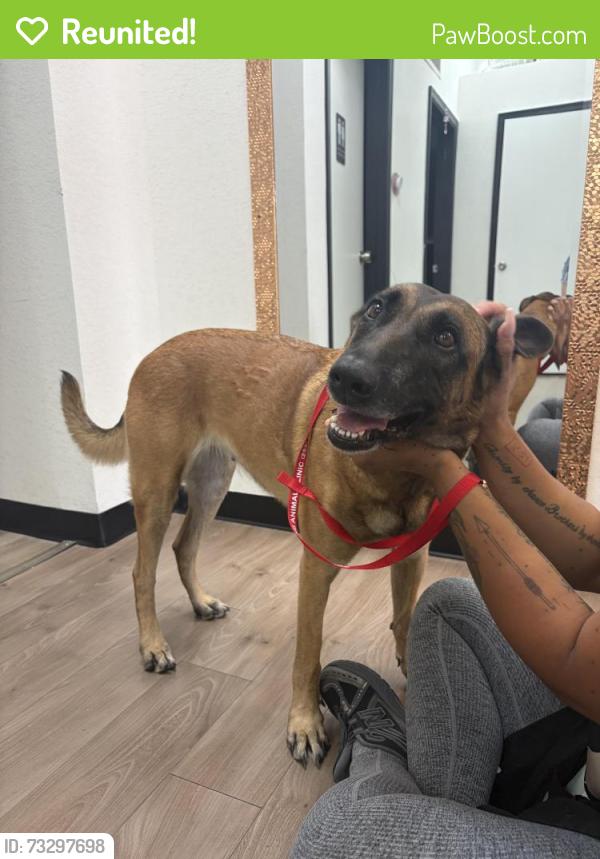 Reunited Female Dog last seen S plaza trail, Virginia Beach, VA 23452