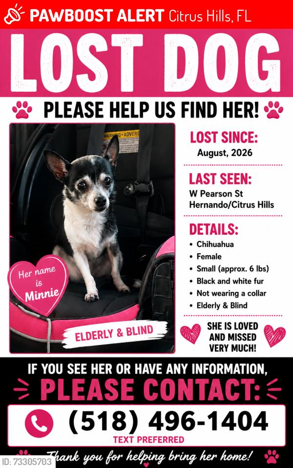 Lost Female Dog last seen W Pearson st, Citrus Hills, FL 34442