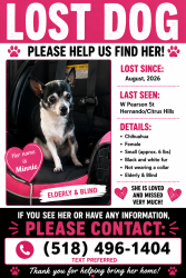Lost Female Dog last seen W Pearson st, Citrus Hills, FL 34442