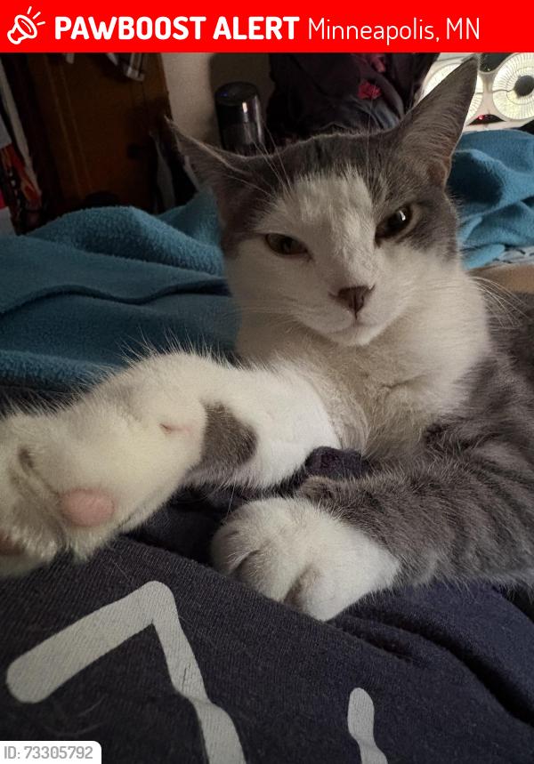 Lost Male Cat last seen 19th and Benjamin St NE, Minneapolis, MN 55418