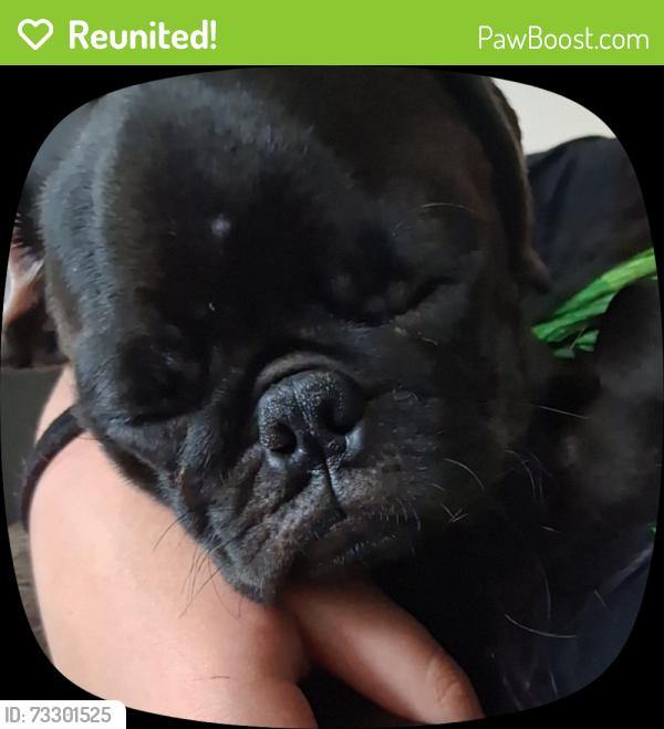 Reunited Male Dog last seen Salmon Court and Redwood, Baytown, TX 77523