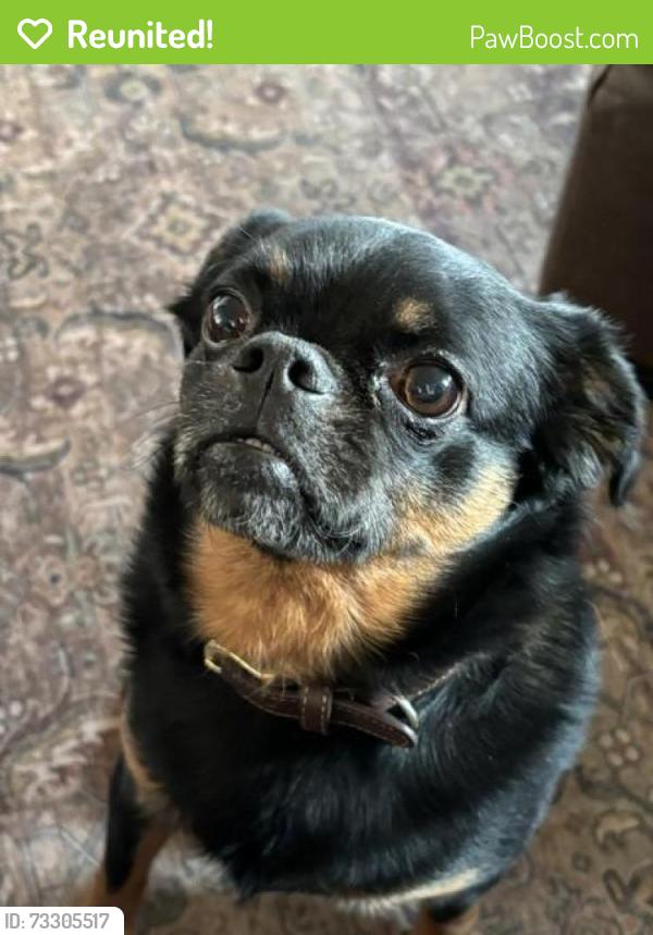 Reunited Male Dog last seen W146th Street near Prarie Highlands, Olathe, KS 66061