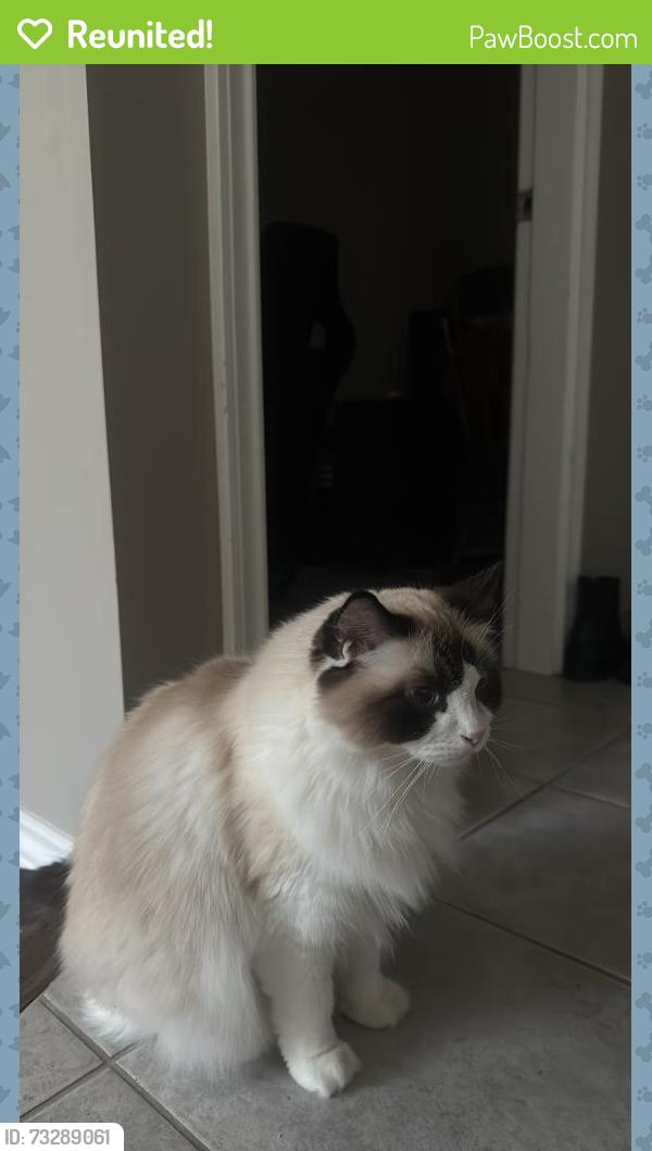 Reunited Female Cat last seen Near 34th W Ave vancouver, Vancouver, BC V6N 2J5
