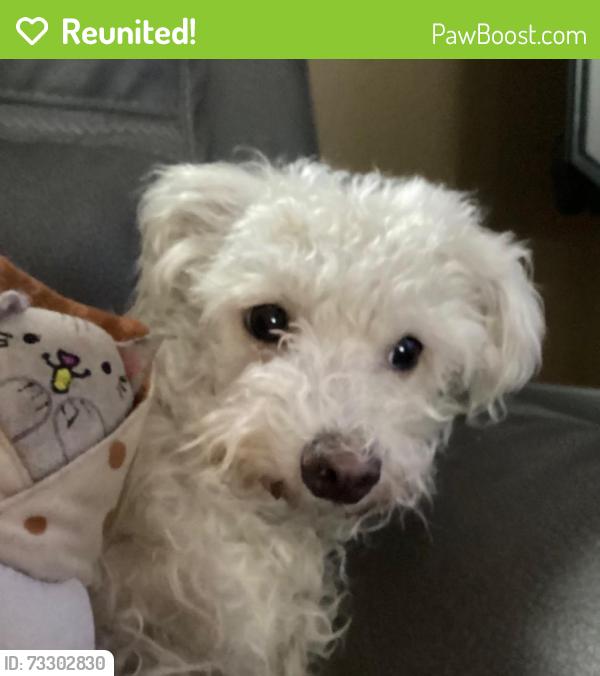 Reunited Female Dog last seen Near E Kent Dr, Aurora, CO 80013, USA, Aurora, CO 80013