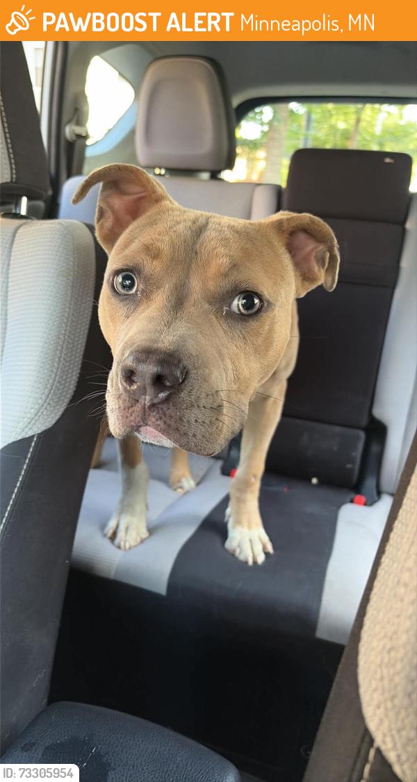 Found/Stray Male Dog last seen Penn ave and west 56th street, Minneapolis, MN 55419