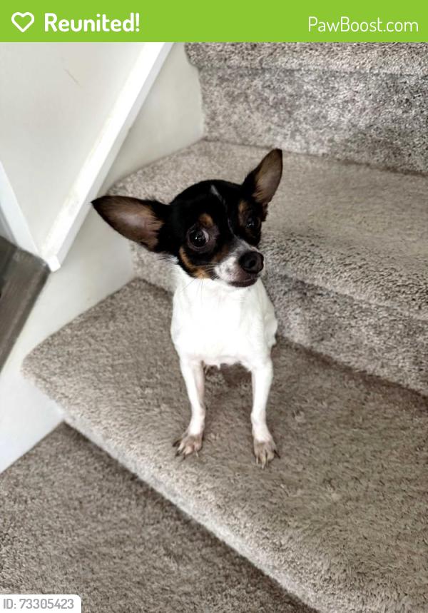 Reunited Unknown Dog last seen Mt Holly-Huntersville Rd, Charlotte, NC 28216