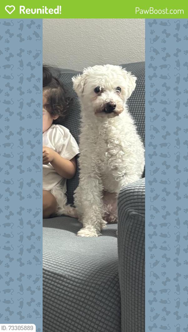 Reunited Female Dog last seen Whitesand Dr, San Jose, CA, USA, San Jose, CA 95121