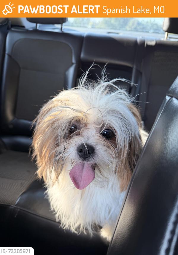Found/Stray Female Dog last seen Near Laredo ave 63138, Spanish Lake, MO 63138