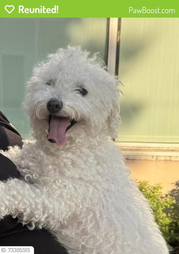 Reunited Female Dog last seen Crosspoint Church, Tesson Ferry Township, MO 63128