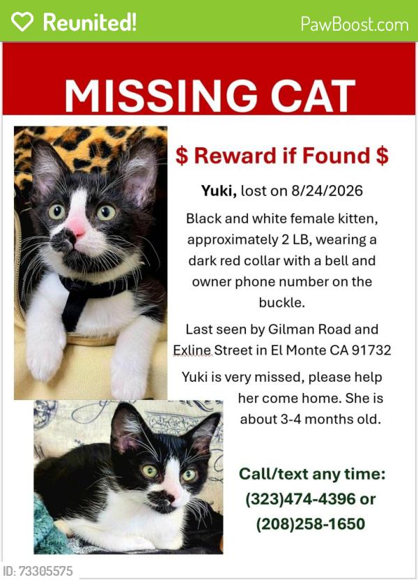 Reunited Female Cat last seen Gilman Road and Exline Street, El Monte, CA 91732