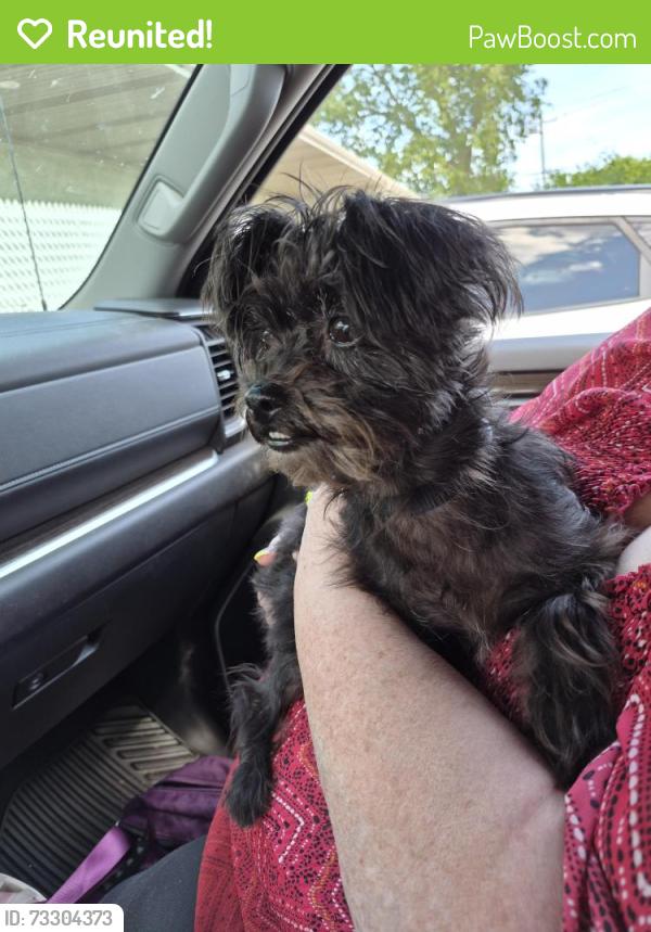 Reunited Female Dog last seen 76th st 22nd ave, Kenosha, WI 53143