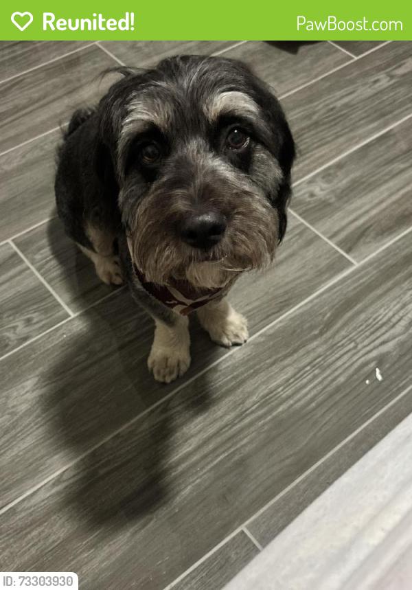 Reunited Male Dog last seen Near Katy Hollow Dr, Katy, TX 77449, USA, Katy, TX 77449