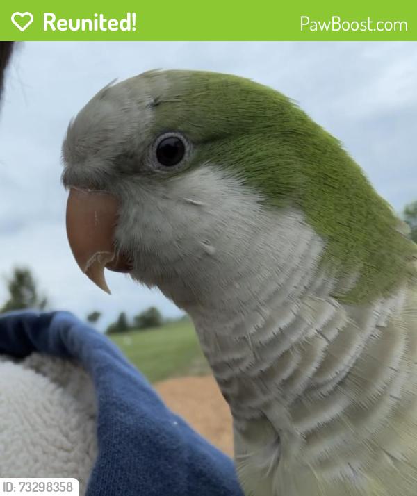 Reunited Male Bird last seen Near W Pauling Rd Monee, IL 60449 United States, Monee, IL 60449