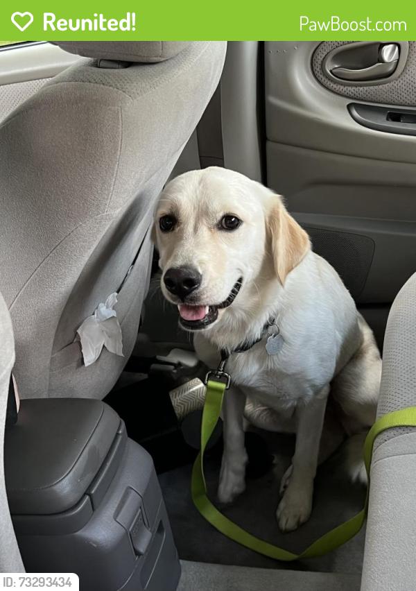 Reunited Female Dog last seen Lynn Dee and Woodbriar, Winston-Salem, NC 27106