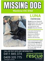 Lost Female Dog last seen Crestdale street, Harold st, Templeton reserve, Wantirna, VIC 3152